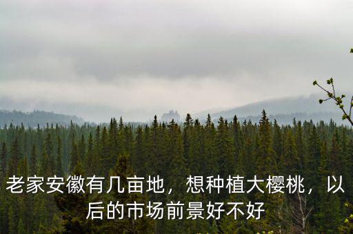 安徽田地有多少畝,老家安徽有幾畝地