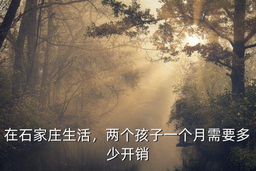石家莊找人看孩子多少錢一個月多少錢,兩個孩子一個月需要多少開銷