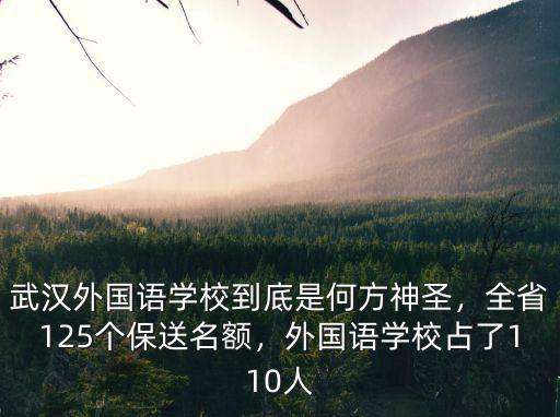 武漢外國(guó)語(yǔ)學(xué)校怎么上,武漢崇文外國(guó)語(yǔ)學(xué)校怎么樣