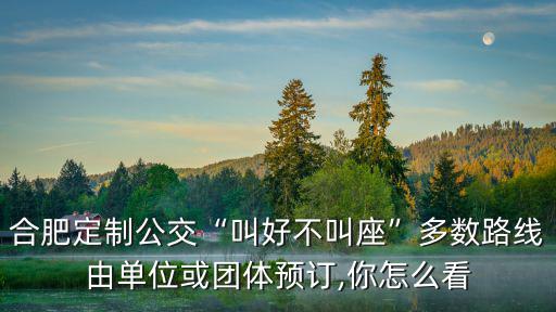 合肥定制公交“叫好不叫座”多數(shù)路線由單位或團體預訂,你怎么看