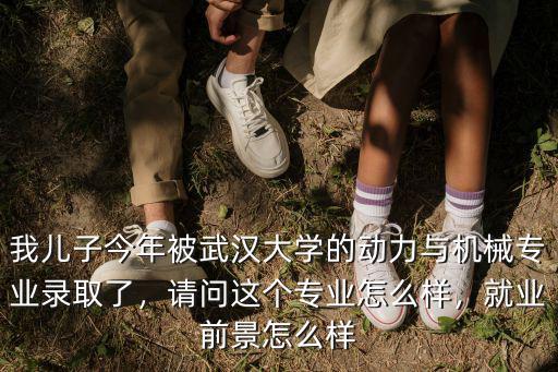 我兒子今年被武漢大學的動力與機械專業錄取了，請問這個專業怎么樣，就業前景怎么樣