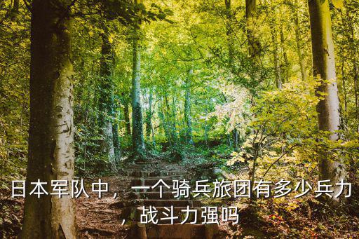 日本軍隊中，一個騎兵旅團有多少兵力，戰斗力強嗎