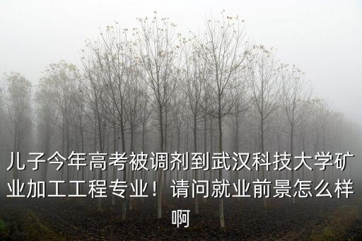 兒子今年高考被調劑到武漢科技大學礦業加工工程專業！請問就業前景怎么樣啊