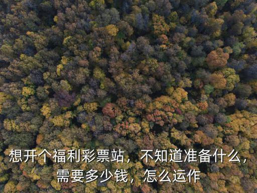 想開個福利彩票站，不知道準備什么，需要多少錢，怎么運作