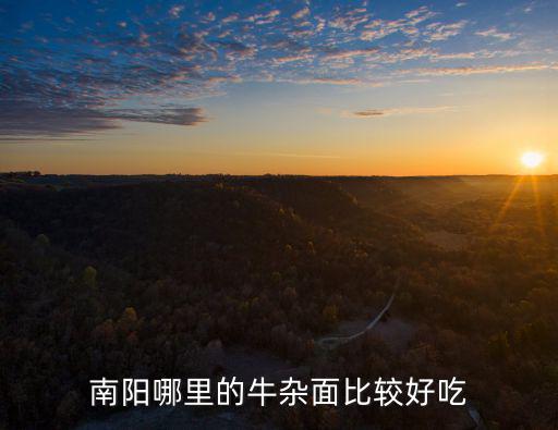 南陽哪里的牛雜面比較好吃