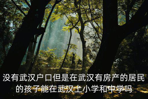 沒有武漢戶口但是在武漢有房產(chǎn)的居民的孩子能在武漢上小學(xué)和中學(xué)嗎