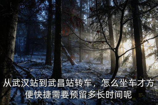 武漢站到金臺站怎么坐車,怎么坐車才方便快捷