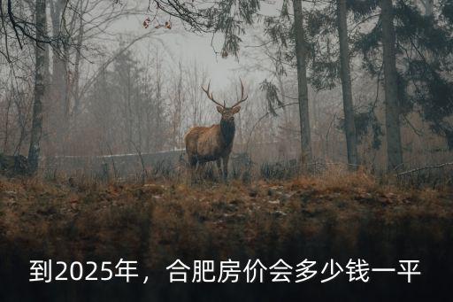 合肥市郊商品房多少錢一個平方平方,合肥房價會多少錢一平
