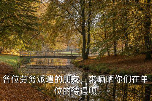 各位勞務派遣的朋友，來曬曬你們在單位的待遇唄