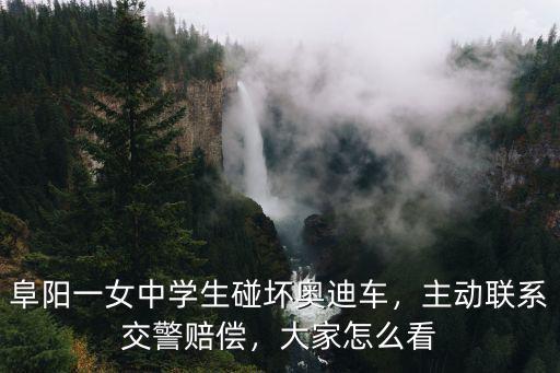 阜陽交警電話多少時間,隨后交警打來電話