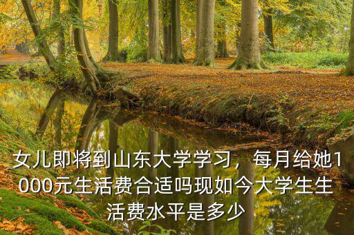 女兒即將到山東大學(xué)學(xué)習(xí)，每月給她1000元生活費(fèi)合適嗎現(xiàn)如今大學(xué)生生活費(fèi)水平是多少