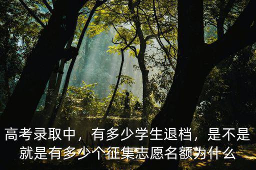 高考錄取中，有多少學(xué)生退檔，是不是就是有多少個征集志愿名額為什么