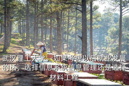 武漢理工大學信息管理與信息系統專業怎么樣,二本信息管理與信息系統專業