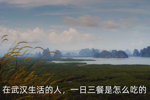 在武漢生活的人，一日三餐是怎么吃的