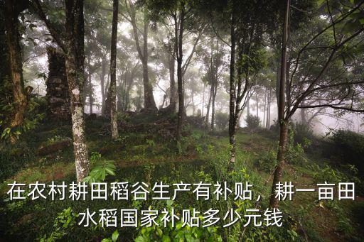 安徽潛山市每畝水稻補貼多少,安徽省蕪湖水稻補貼多少￣畝