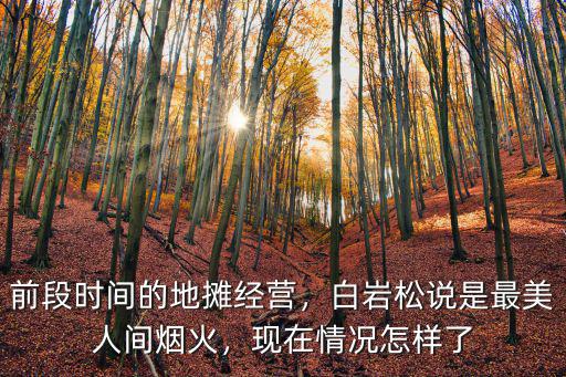 前段時間的地攤經營，白巖松說是最美人間煙火，現在情況怎樣了