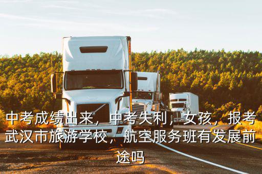 中考成績出來，中考失利，女孩，報考武漢市旅游學校，航空服務班有發展前途嗎