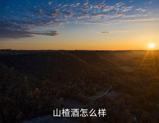 山楂酒怎么樣