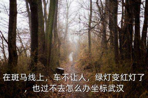 武漢紅綠燈突然壞了怎么辦,也過不去怎么辦