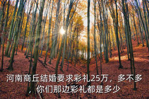 河南商丘結婚要求彩禮25萬，多不多，你們那邊彩禮都是多少