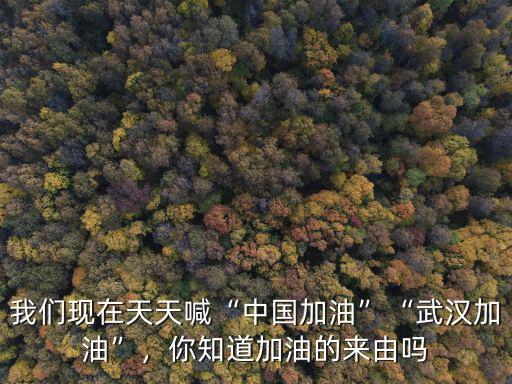 我們現在天天喊“中國加油”“武漢加油”，你知道加油的來由嗎