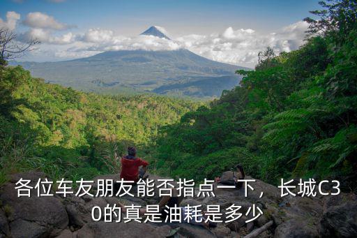 各位車友朋友能否指點(diǎn)一下，長(zhǎng)城C30的真是油耗是多少