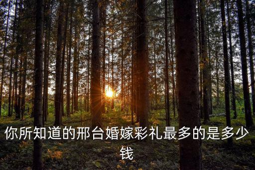 你所知道的邢臺婚嫁彩禮最多的是多少錢