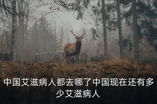 六安有多少艾滋病感染者,你對艾滋病有什么看法