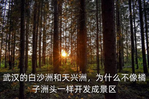武漢白沙洲恒軒駕校怎么樣,武漢白沙洲和東西湖
