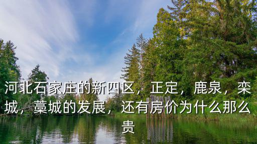 東河北梁南四區的房子多少錢,河北石家莊的新四區
