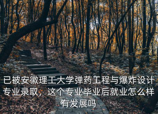 已被安徽理工大學(xué)彈藥工程與爆炸設(shè)計(jì)專業(yè)錄取，這個(gè)專業(yè)畢業(yè)后就業(yè)怎么樣有發(fā)展嗎