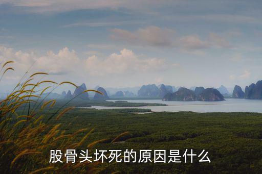 股骨頭壞死的原因是什么