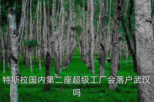 特斯拉國內第二座超級工廠會落戶武漢嗎