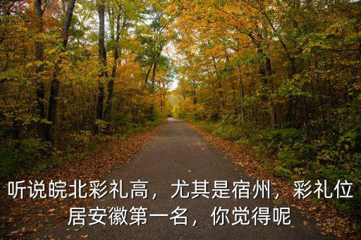 聽說皖北彩禮高，尤其是宿州，彩禮位居安徽第一名，你覺得呢
