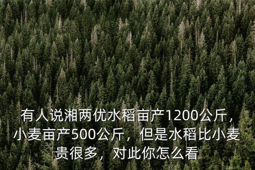 有人說(shuō)湘兩優(yōu)水稻畝產(chǎn)1200公斤，小麥畝產(chǎn)500公斤，但是水稻比小麥貴很多，對(duì)此你怎么看