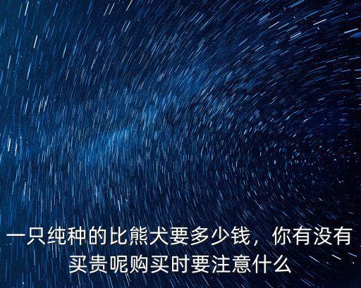 一只純種的比熊犬要多少錢，你有沒有買貴呢購買時要注意什么