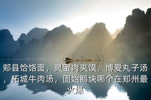 信陽固始鵝塊在郟縣哪里,固始鵝塊哪個在鄭州最火爆