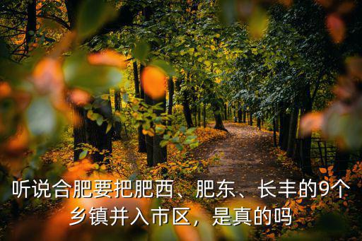 肥西劃了多少給合肥,聽說合肥要把肥西
