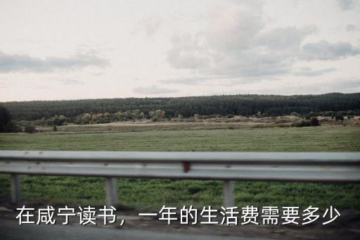 咸寧讀書怎么樣,咸寧的經(jīng)濟發(fā)展怎么樣