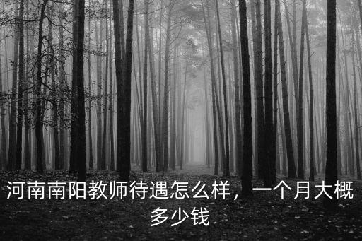 南陽職高老師工資一般多少,一般職中月工資多少