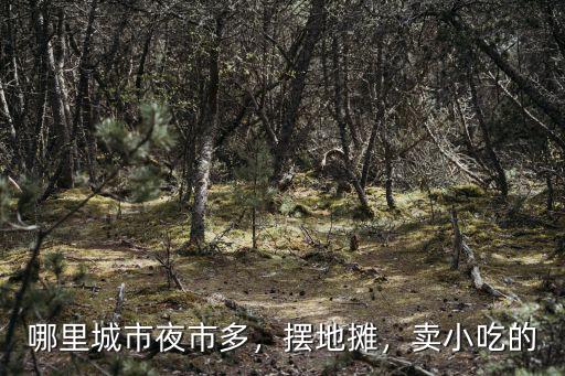 鄭州市區哪里可以擺地攤小吃,請問鄭州哪里可以擺地攤呢