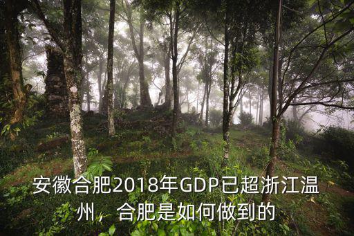 合肥市2018年GDP總量是多少,哈爾濱與合肥市