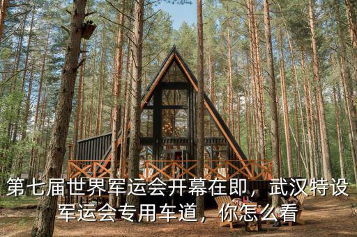 怎么看武漢軍運(yùn)會(huì)開幕,武漢特設(shè)軍運(yùn)會(huì)專用車道