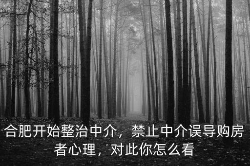 合肥開始整治中介，禁止中介誤導購房者心理，對此你怎么看
