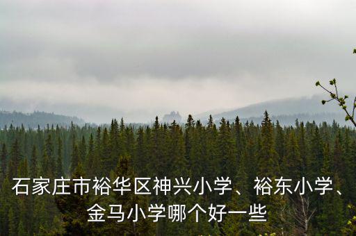 石家莊金馬小學學費多少錢,金馬小學哪個好一些