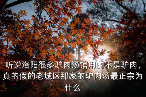 聽說洛陽很多驢肉湯館用的不是驢肉，真的假的老城區(qū)那家的驢肉湯最正宗為什么