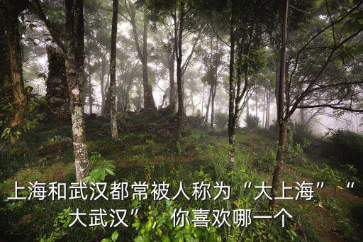 上海和武漢都常被人稱為“大上海”“大武漢”，你喜歡哪一個(gè)