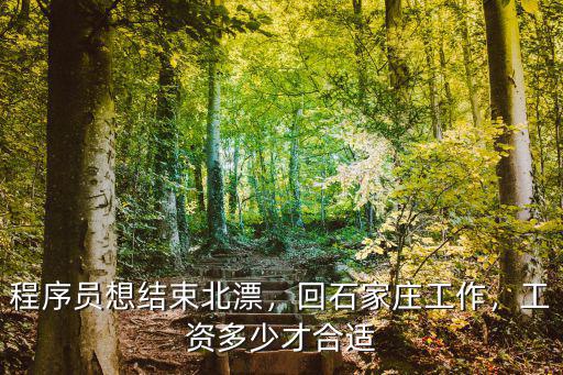 程序員想結束北漂，回石家莊工作，工資多少才合適