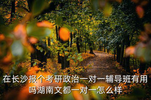 在長沙報個考研政治一對一輔導班有用嗎湖南文都一對一怎么樣