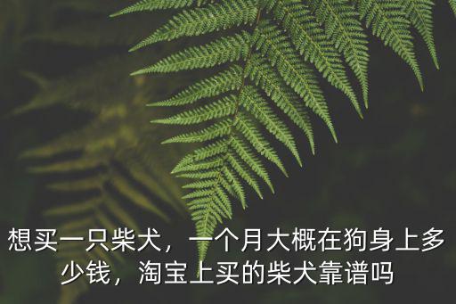 唐山日本柴犬多少錢一只,想買一只柴犬